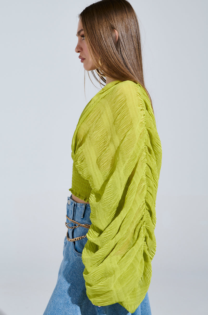 ALL THE BUZZ DEEP V LONG SLEEVE BLOUSE